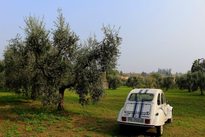 PAROLE TRA NOI: appuntamento con DANIELA RAIMONDI - Lago di Garda: Eventi,  Manifestazioni e Appuntamenti